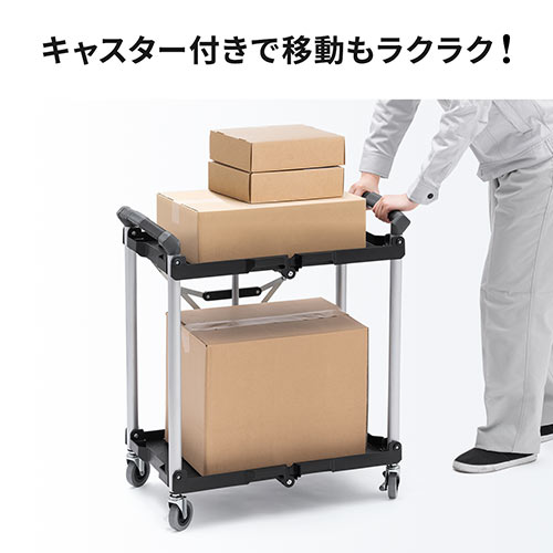 y匈ZՃZ[zc[S t@CS LX^[t 2i ܂肽 ω׏d50kg 4 y 100-CART013
