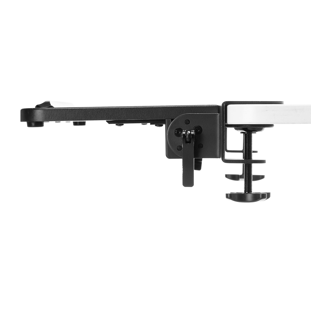 fXNGNXe_[  Vg t ܂肽 fXNGNXeV e[ug NvŒ 80cm s23cm 100-KB018BK
