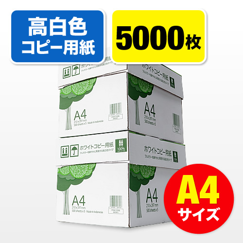 Rs[piA4TCYE500~10E5000EFj 300-CP1A4-2