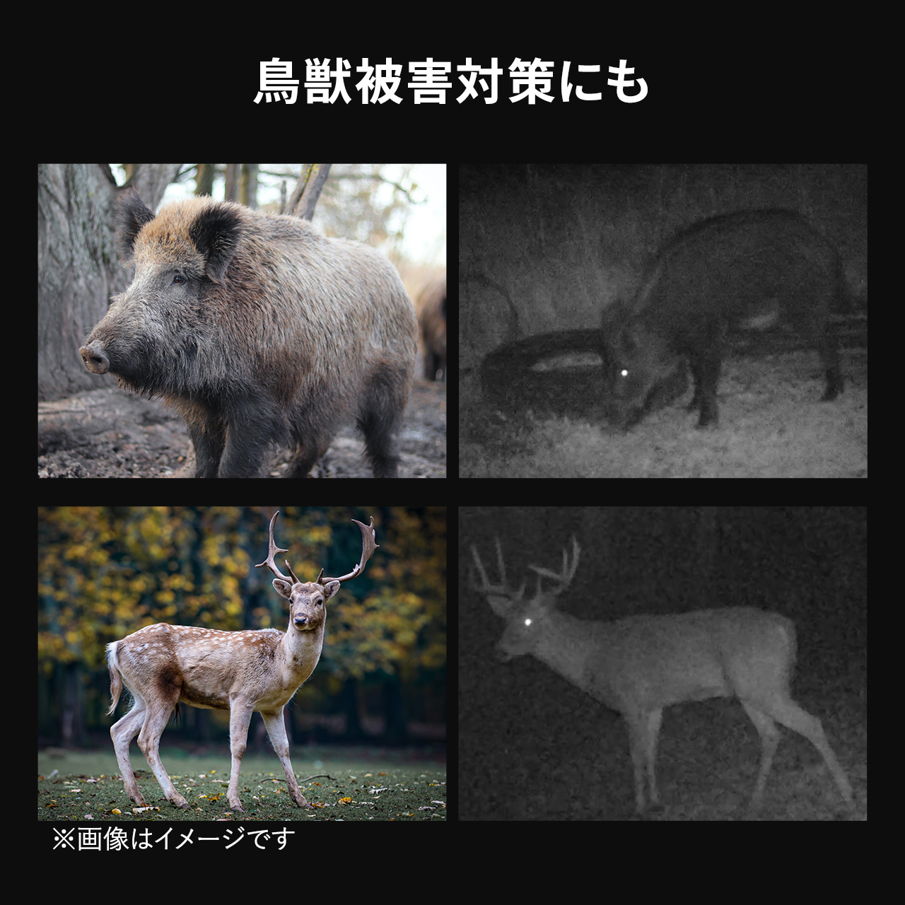y匈ZՃZ[zgCJ hƃJ 4K O Î Lp ȒPݒu ^CvX [v^ dr hhoIP66 _nǗ ƍߗ}~  bQ΍ g h~ 400-CAM091