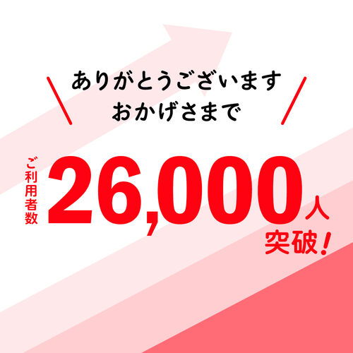 y5ZbgzCXKChVXe KChpCz}CN cA[KChVXe o ő255ڑ s c KChV[o[  KCh[_[ CJ VXKCh  Hꌩw 400-HSGS001-5
