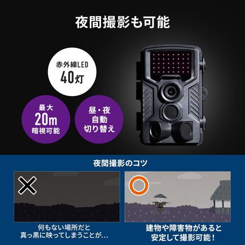 gCJ hƃJ{256GB microSDXCJ[h̃Zbgi400-CAM091+TS256GUSD350Vj 402-CAM091SET1