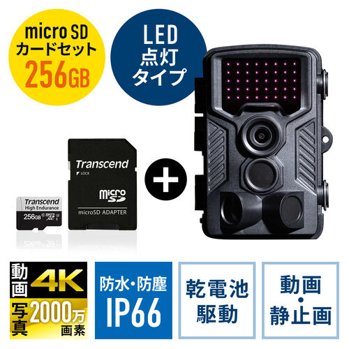 gCJ hƃJ{256GB microSDXCJ[h̃Zbgi400-CAM091+TS256GUSD350Vj 402-CAM091SET1