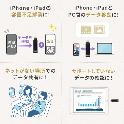 CgjO  USB-A USB 256GB MFiF iPhone iPad Android Ή p\R ʐ^  obNAbv XCO iXflash 600-IPL256GX3N