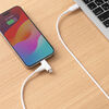 USB Type-C Lightning 2in1 USBP[u 1.2m USB PD60WΉ f[^] MFiFؕi iPadi10j iPhone15/14Ή